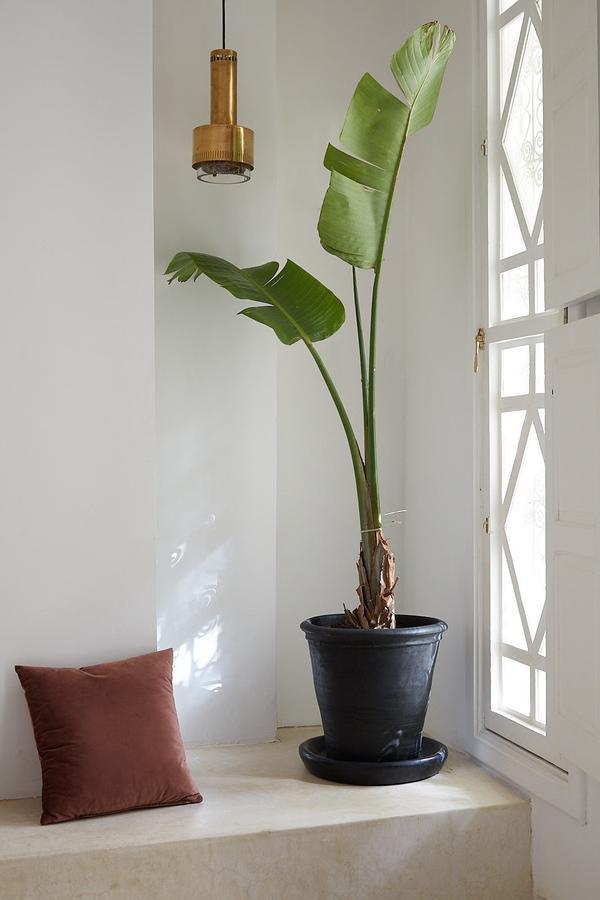 Hotel Numa Marrakech Marrakesh Esterno foto